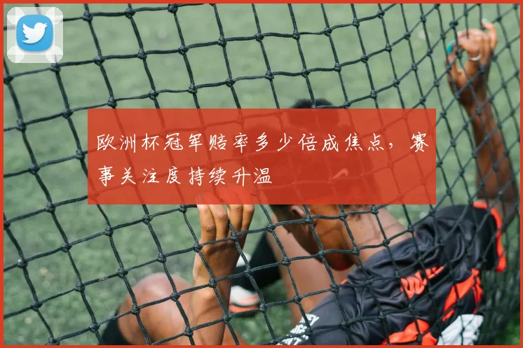 欧洲杯冠军赔率多少倍成焦点，赛事关注度持续升温