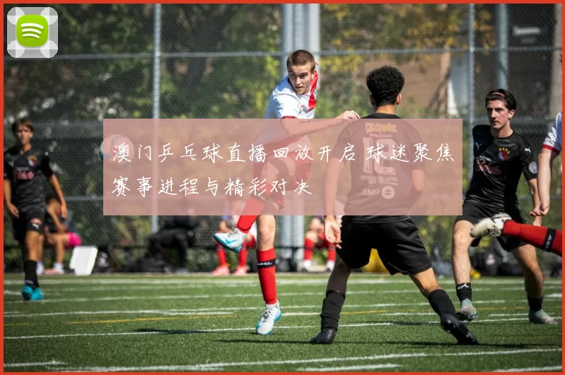 澳门乒乓球直播回放开启 球迷聚焦赛事进程与精彩对决